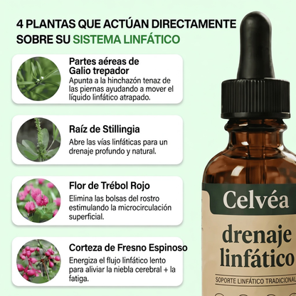 Drenaje linfático