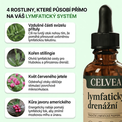 Lymfatická drenáž